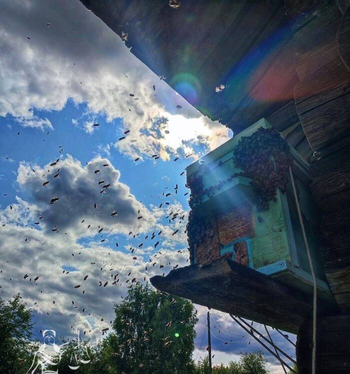   :       -   , , ,  , , , ,  