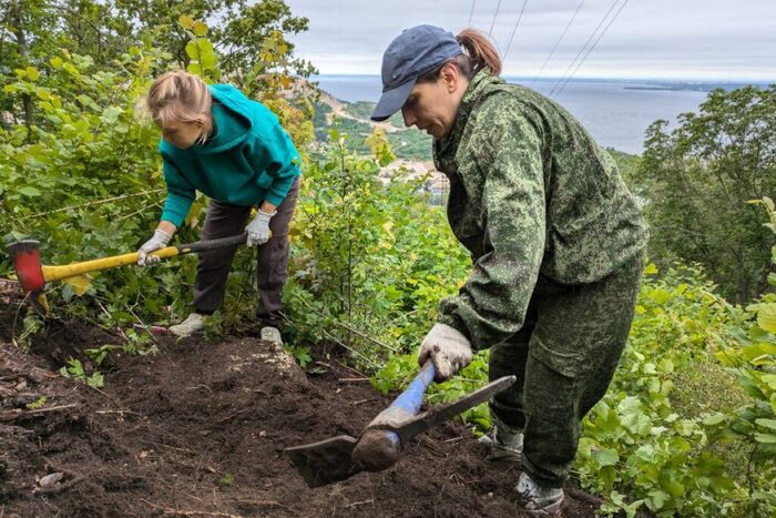 Волонтеры обустраивают спуск в поселок Яблоневый Овраг