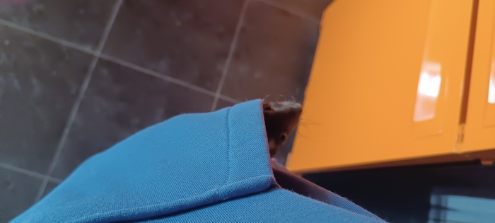  , , ,  ,  , 