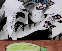 ���������