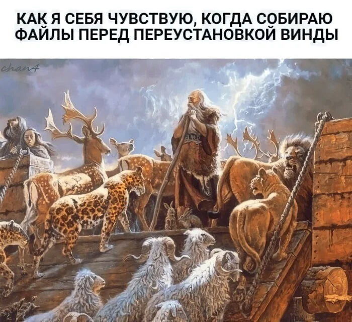 fgqewk2x.webp