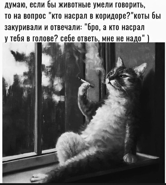      ,   , , 