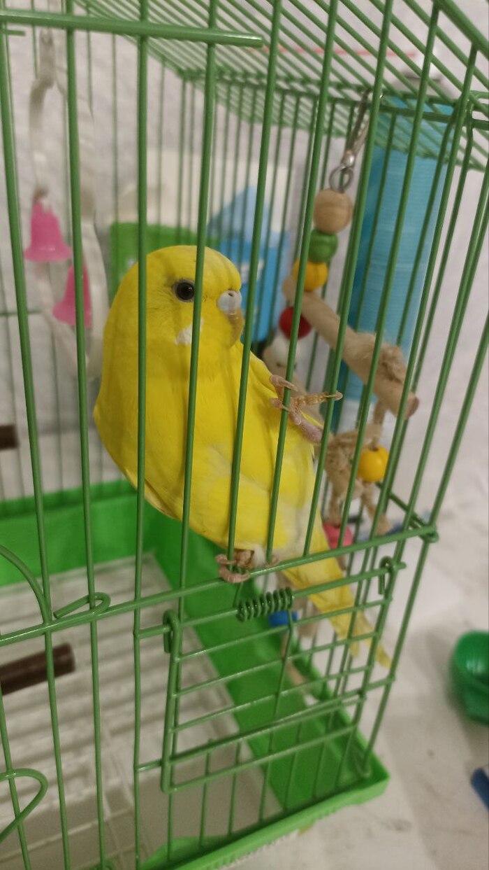      , , 