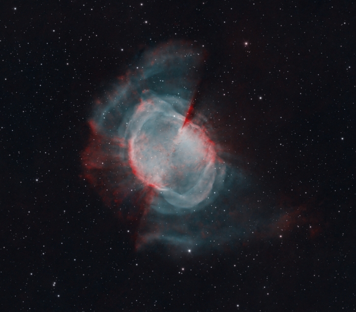 "Питерская Бабочка" NGC 6853 (Снято в Питерских сумерках, на Питерскую оптику) палитра HOO | Shedevr 260, zwo asi2600m | 30x300" OIII (askar 4.5nm) 28x300" Ha (baader 7nm)