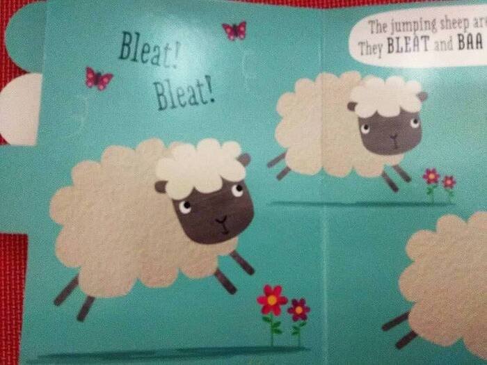  , bleat!