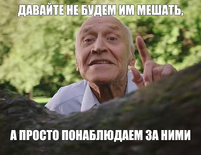        . -   ... ,  , , , , ,  , 
