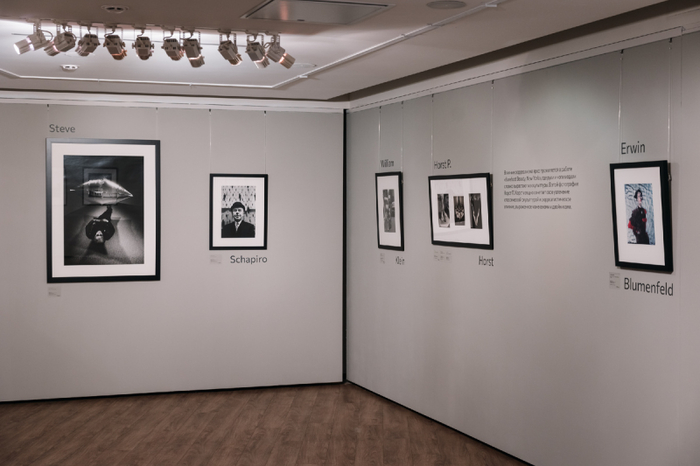 Экспозиция «Частный выбор. Ман Рэй, Кертес, Блюменфельд»