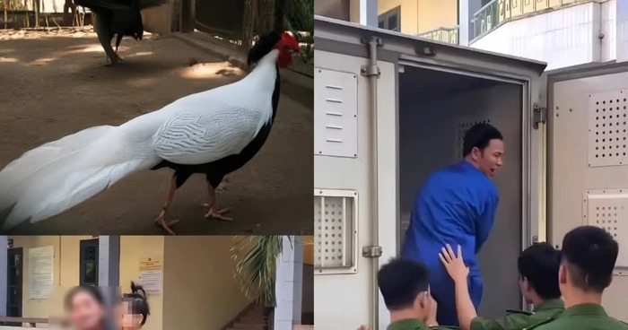 6 ��� �� ������