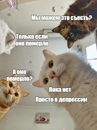 igoewwm3.webp