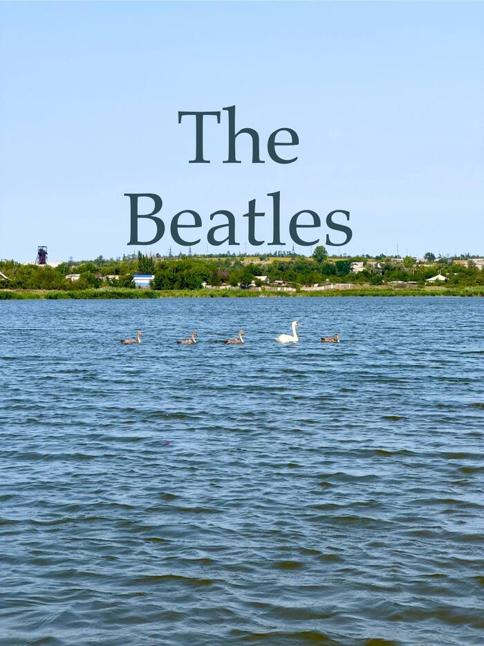   !!  ,    .   ,  -   ,    )