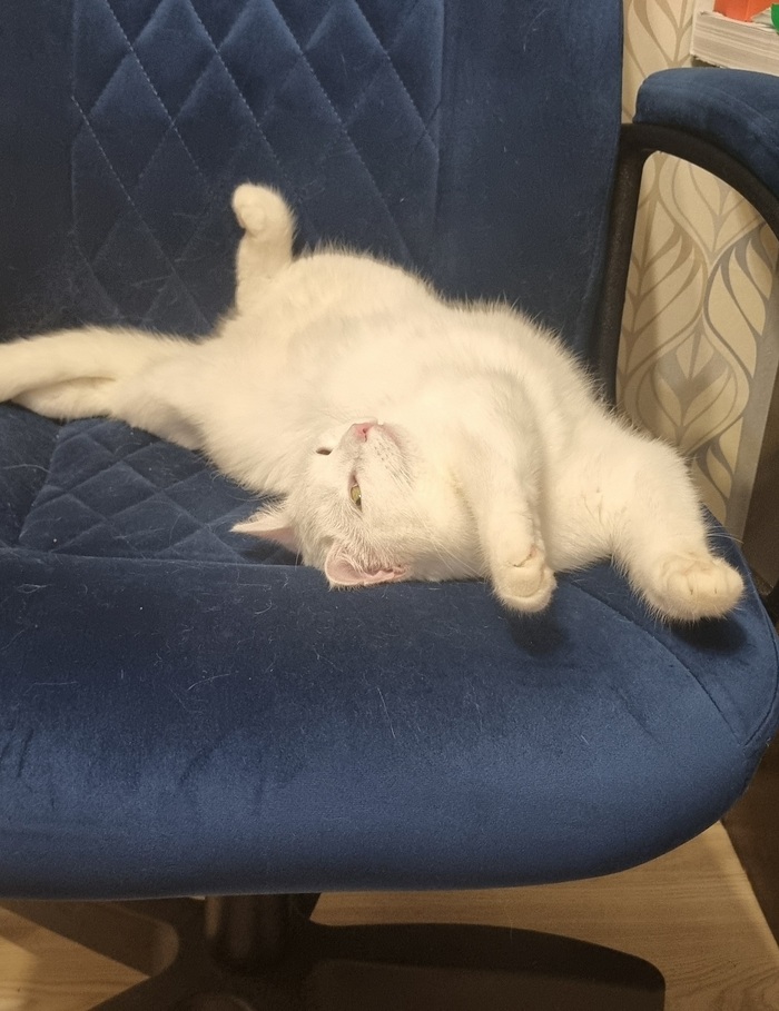 Среда отдыхает, мои чуваки!