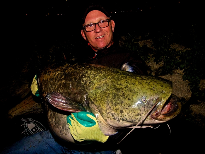 Разверзнутая пасть сома кажется устрашающей. Но это вовсе не мрачный бездонный колодец, в который с лёгкостью проскальзывает среднестатистический человек.
