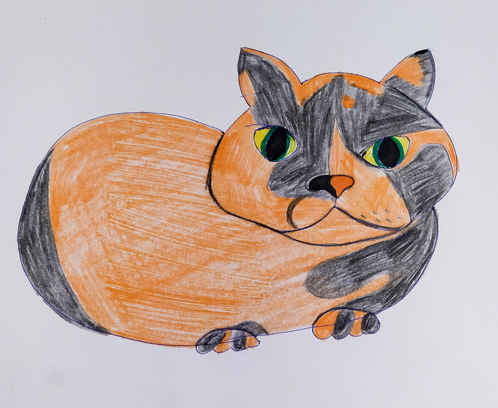 Это рисунок или кошка Ёшка?