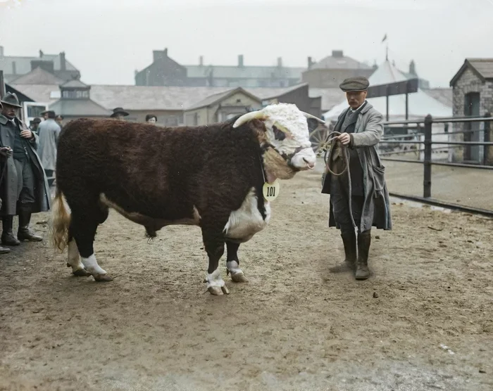 Любопытные фотографии из прошлого Великобритании. 20 раскрашенных фотографий ХХ века. Часть 21 Фотография, Старое фото, 20 век, Великобритания, Англия, Лондон, Колоризация, Длиннопост