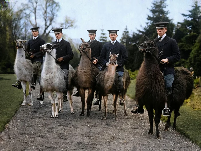 Любопытные фотографии из прошлого Великобритании. 20 раскрашенных фотографий ХХ века. Часть 21 Фотография, Старое фото, 20 век, Великобритания, Англия, Лондон, Колоризация, Длиннопост