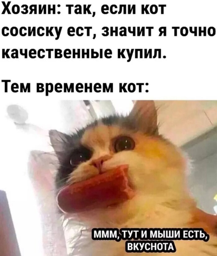 Сосиска