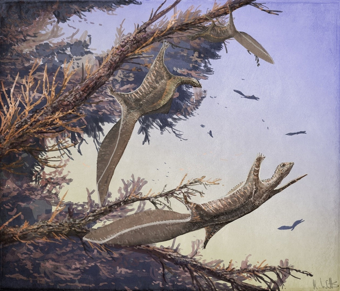 Hypuronector limnaios.