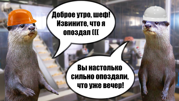    , , , ,   , , , , ,  , , 