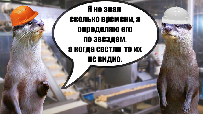    , , , ,   , , , , ,  , , 