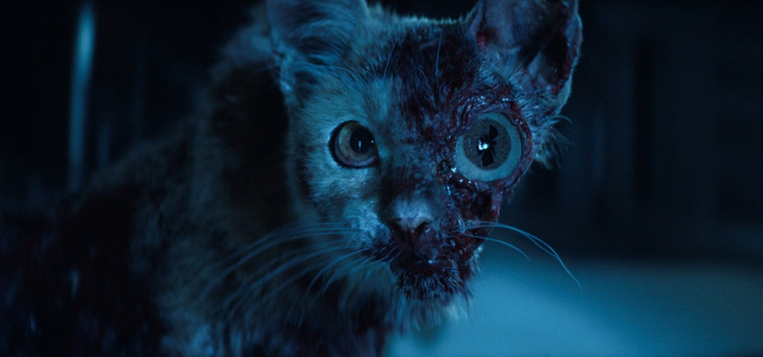 В динамике хуже и проблемы с анимацией