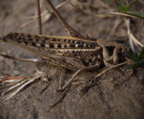 ��������� � �� �����