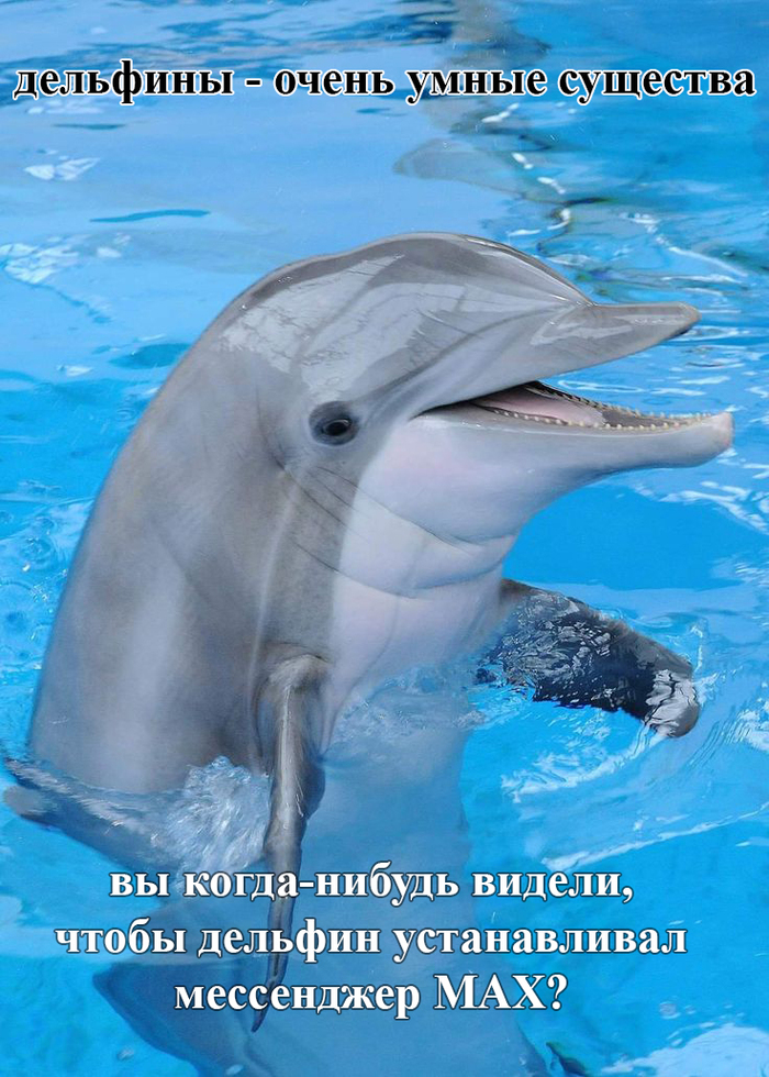 �������� � MAX