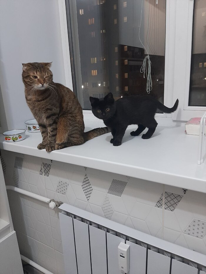 Привезли тут кого-то... Зачем???