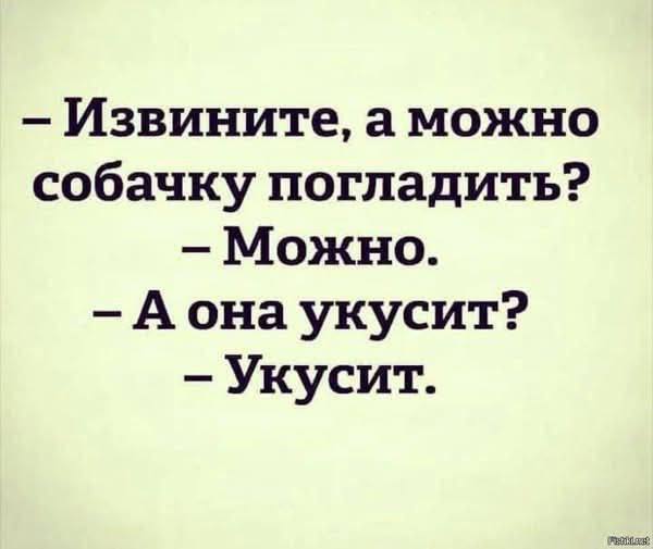 Гладь конечно!