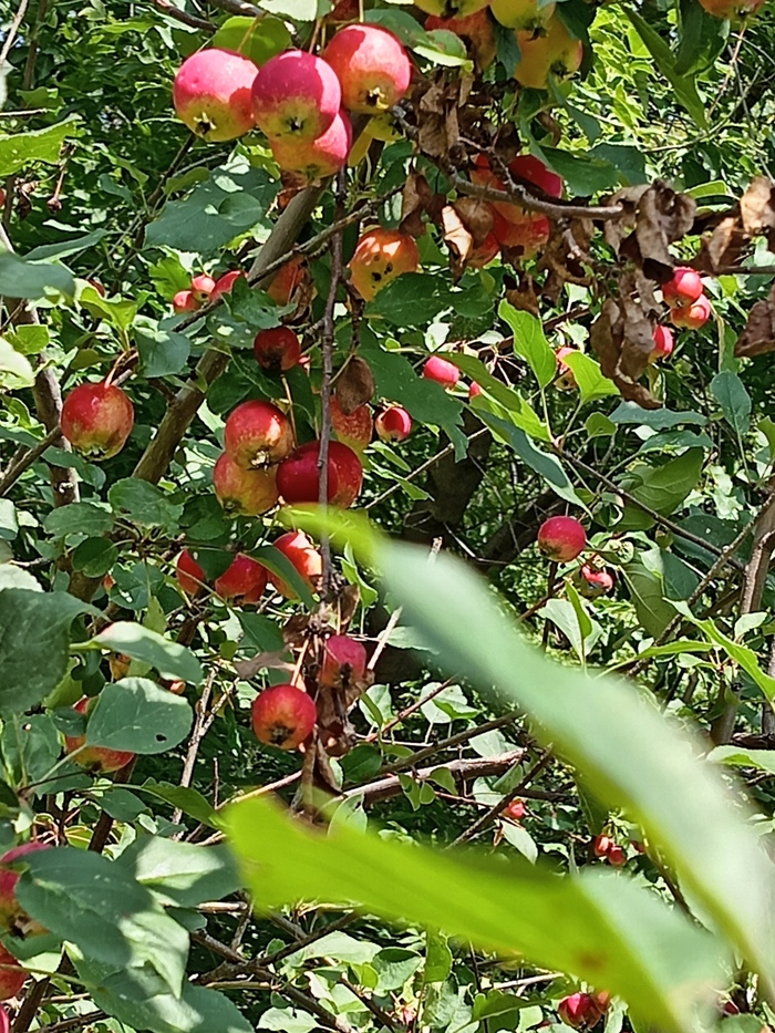 ��������� �� �������. ������� ���������� �����, ���� ��� � �� �������