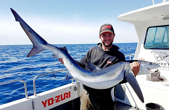 Дорогая, в нашей семье пополнение!