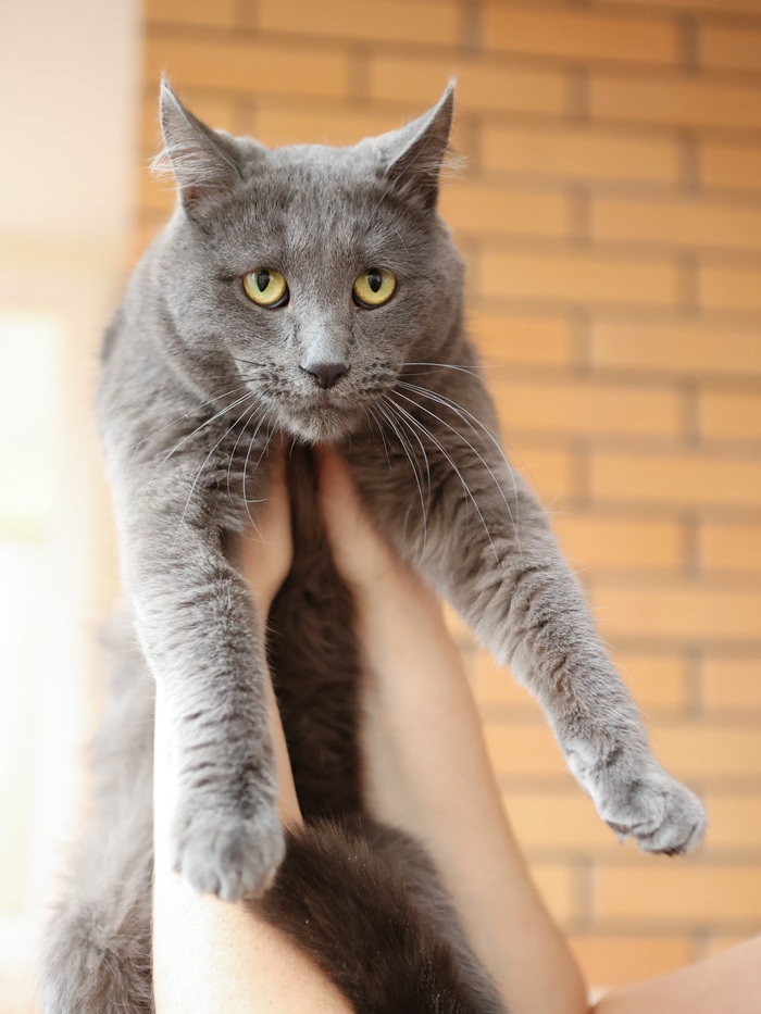          ! ,   ,  ,  , ,  , ,  , ,   ,  ,  , ,  , 