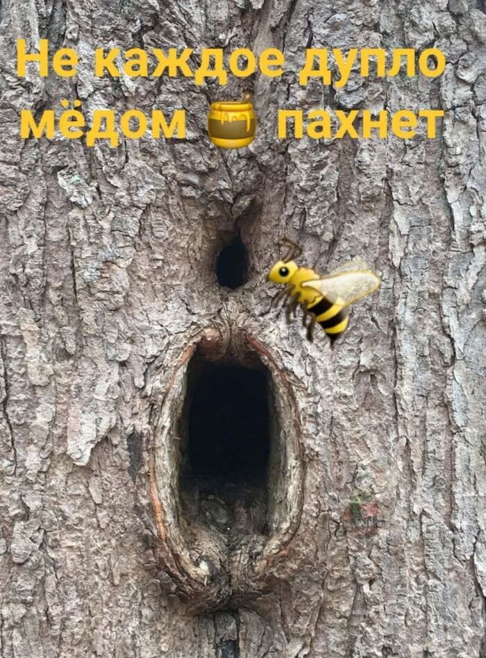 Возбудился, признавайся