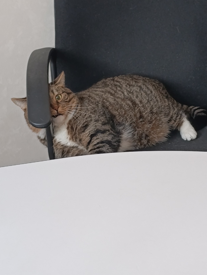    , ,  