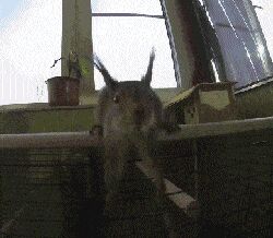     ,   , , , 
