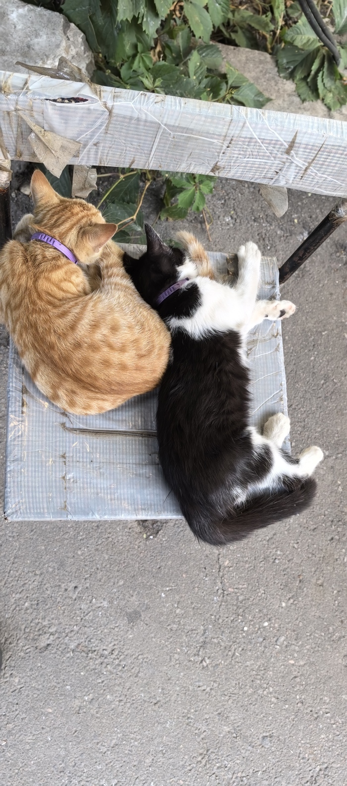 ���� �������� - ����������, ����� �������� �������� ��� ����������, ����� ���� ������ �������� ���� ��� �� ����� � ������ ��������, ��� ��� �� �����-�����.