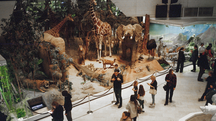 ����� �������