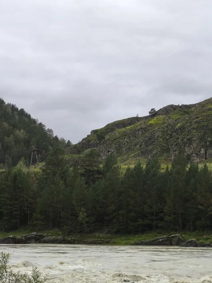 Маленькая жизнь в маленьком селе Республика Алтай, Горы, Планы на лето, Лето, Чемальский район, Длиннопост