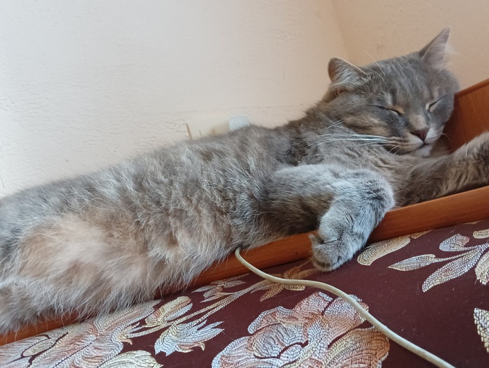 Дайте миру спокойно спать...