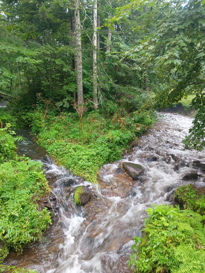 Та самая река Чопэ.