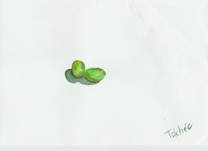Tolche , , , , , 
