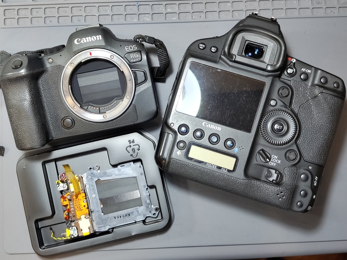   . Canon R6 mark2 + Canon 1Dx mark2  , Canon, , ,  ,  , 