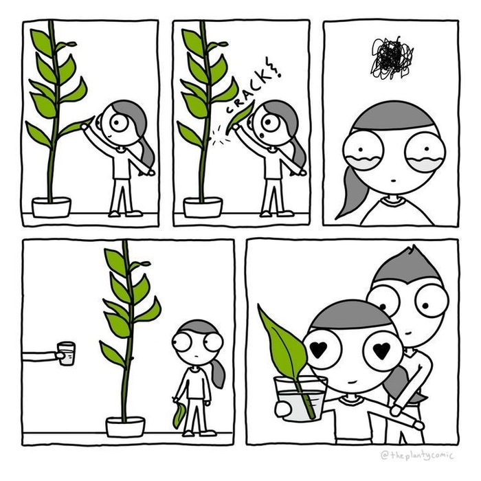  , ,  , , 