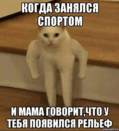 ,  ?