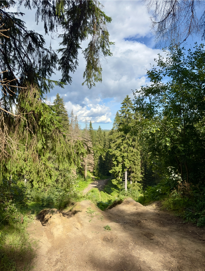 ��� ���������� ���� � �����-������ ���� ��� ����������. ����� ������� ��� ����� ������.