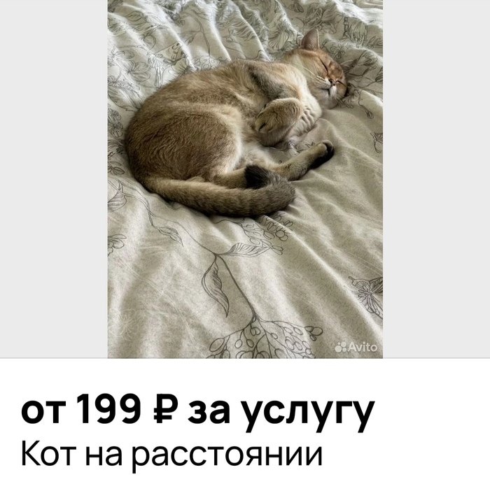      )) ,  , ,  , , , , , , ,  ,  , 