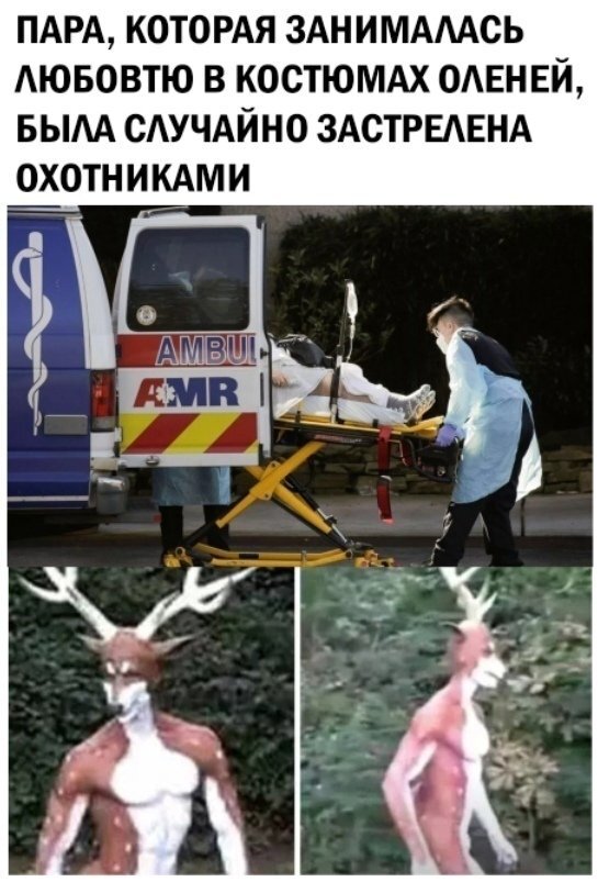  ,   , 