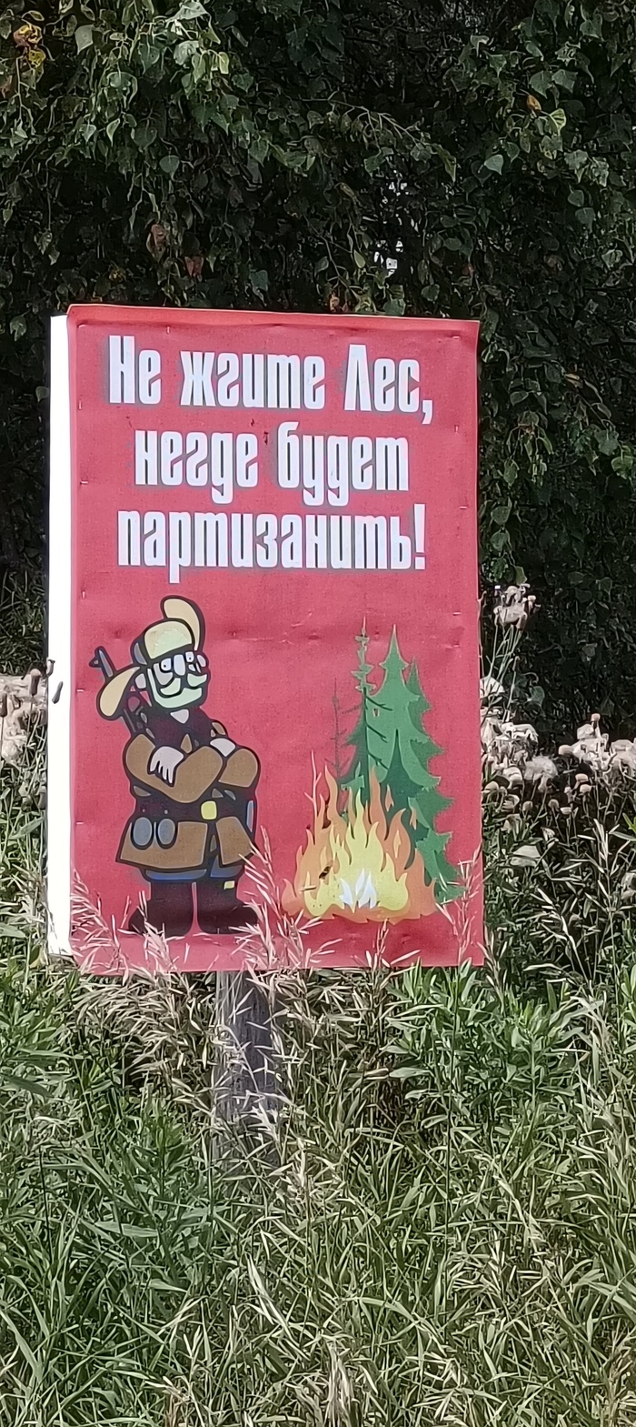 -    , , , , 