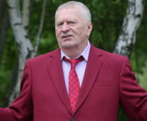 ��������/���������