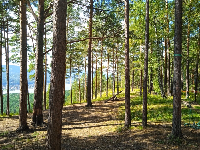 ������� ������� ����