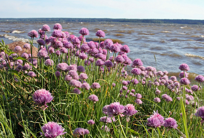 Фото Е. Глазковой.